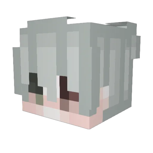 QuinnFellcrest Minecraft avatar head, 3D render