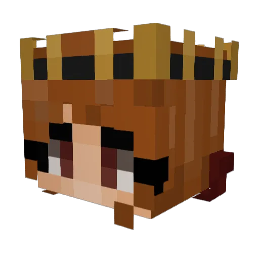 QuinnMellow Minecraft avatar head, 3D render