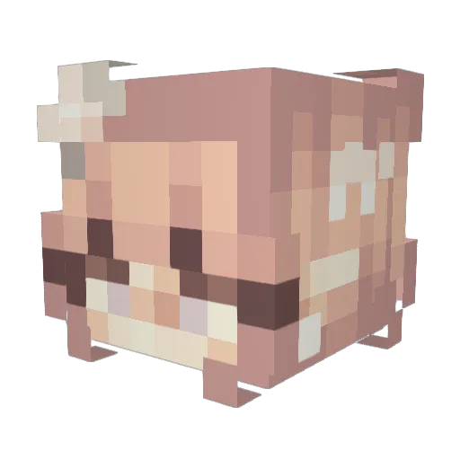 QuinnMystic Minecraft avatar head, 3D render