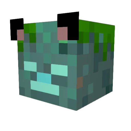QuinnPlayz111 Minecraft avatar head, 3D render