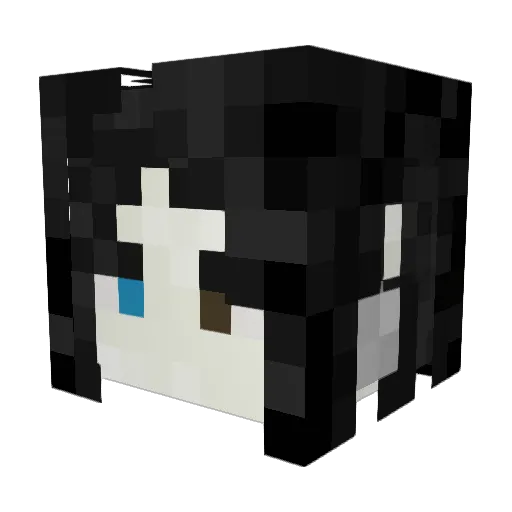 QuinnRourke Minecraft avatar head, 3D render