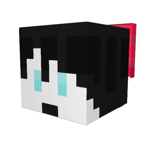 QuinnSoCool Minecraft avatar head, 3D render