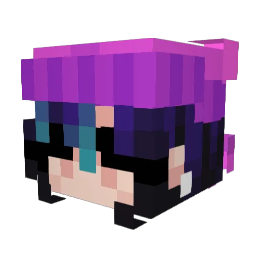 QuinnTin1 Minecraft avatar head, 3D render