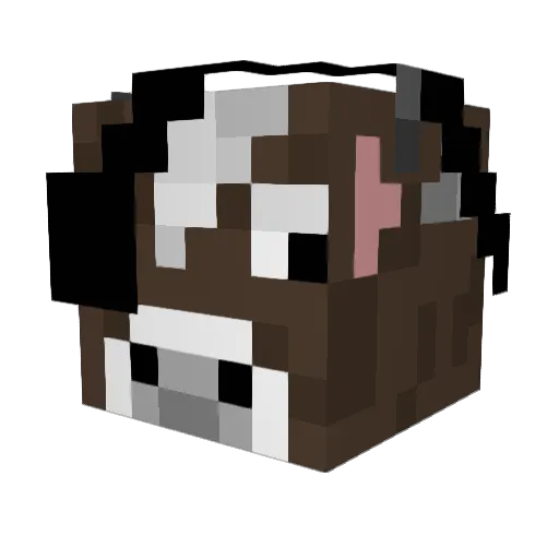 QuinnVDB25 Minecraft avatar head, 3D render
