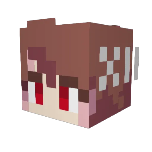 Quinn_9001 Minecraft avatar head, 3D render