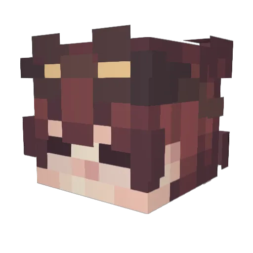 Quinn_kun Minecraft avatar head, 3D render