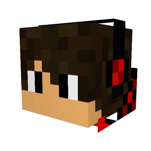 Quinnar20 Minecraft avatar head, 3D render