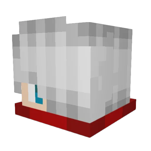 QuinnicusVile Minecraft avatar head, 3D render