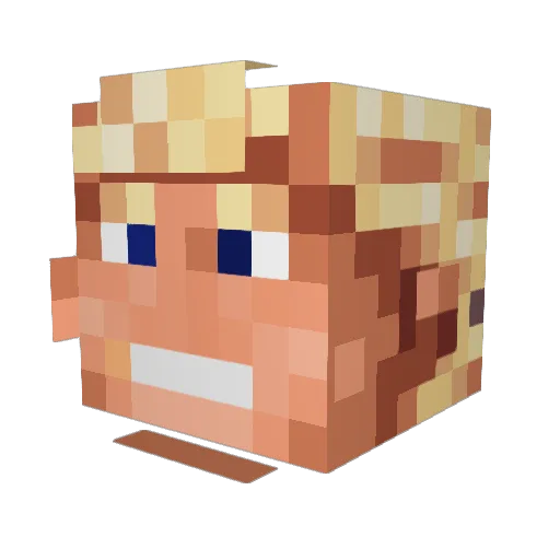 Quinnieboy10 Minecraft avatar head, 3D render