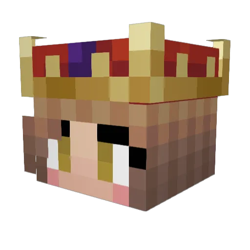 Quinnlenn Minecraft avatar head, 3D render