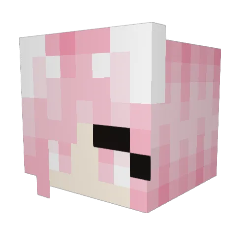 QuinnofCats Minecraft avatar head, 3D render