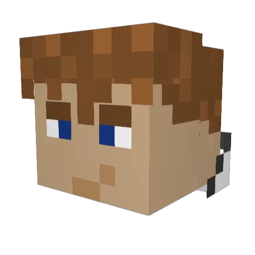 QuinnyTheQT Minecraft avatar head, 3D render