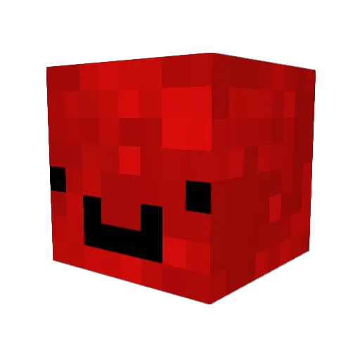 Quinnyboy12345 Minecraft avatar head, 3D render