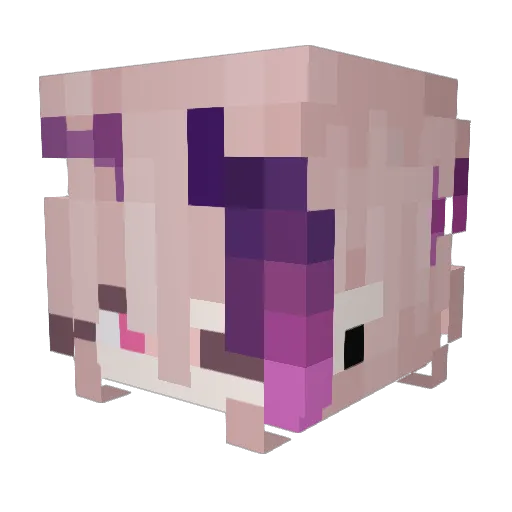 Quinnzly Minecraft avatar head, 3D render