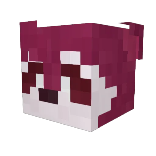 Quinro Minecraft avatar head, 3D render