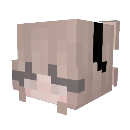 Quinsei Minecraft avatar head, 3D render