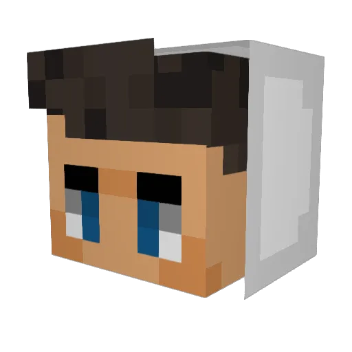 Quinsen_ Minecraft avatar head, 3D render