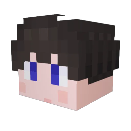Quinsiee Minecraft avatar head, 3D render