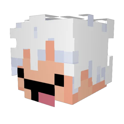 QuintA1 Minecraft avatar head, 3D render