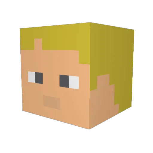 QuintenWiggins Minecraft avatar head, 3D render