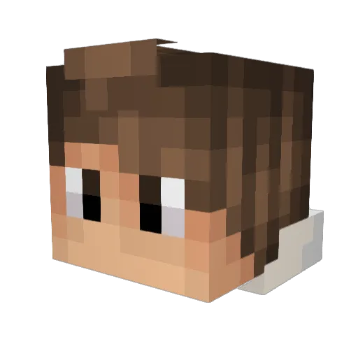 Quintendw_2 Minecraft avatar head, 3D render