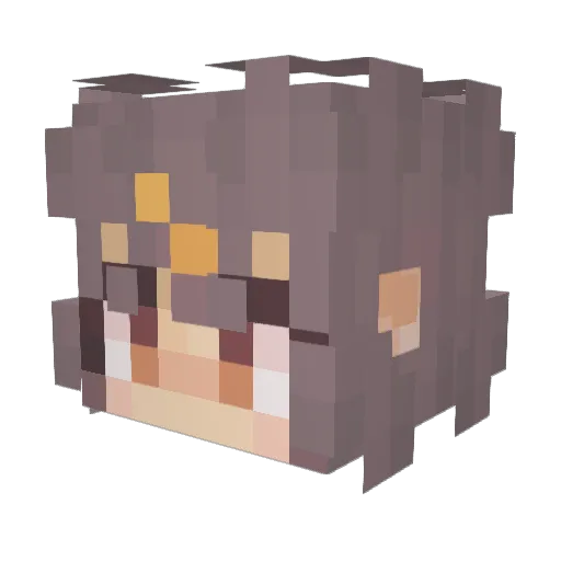 Quinterball Minecraft avatar head, 3D render