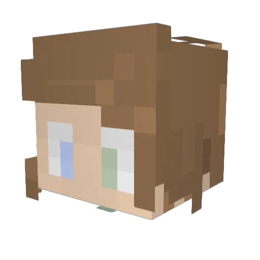 Quinticats Minecraft avatar head, 3D render