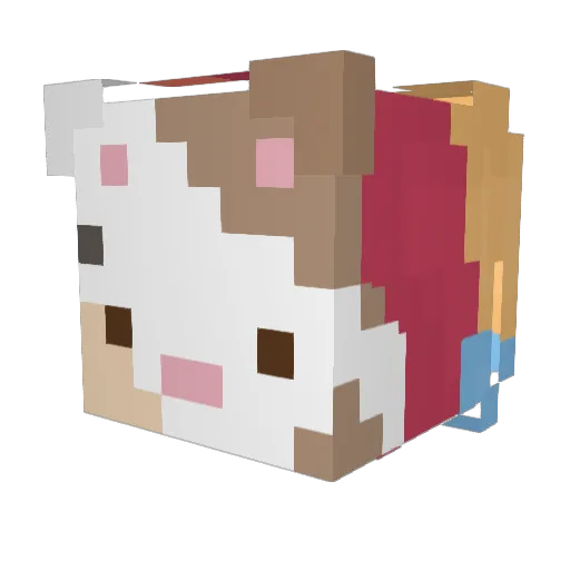 Quintin01 Minecraft avatar head, 3D render