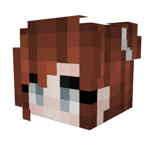 Quintjuuu Minecraft avatar head, 3D render
