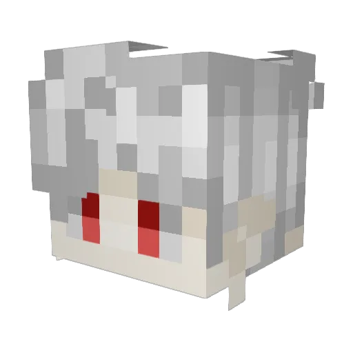 Quintuscipio Minecraft avatar head, 3D render