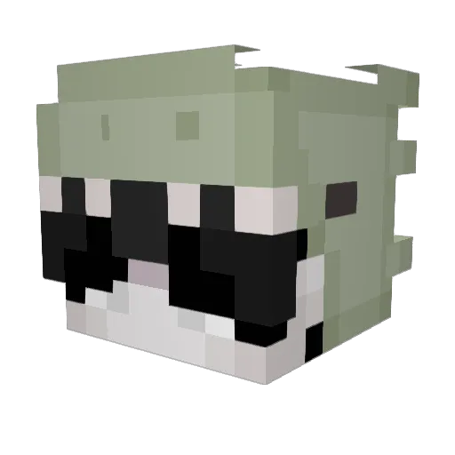 Quippidellio Minecraft avatar head, 3D render