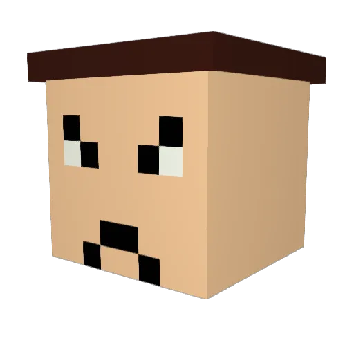 QuippyReggy Minecraft avatar head, 3D render