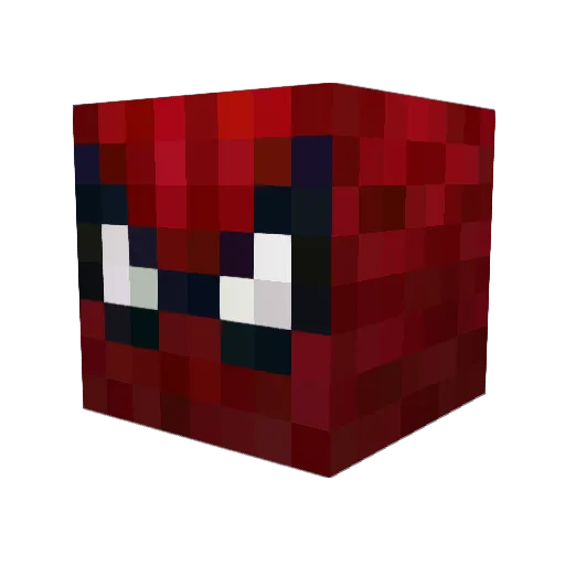 Quiqueerms Minecraft avatar head, 3D render