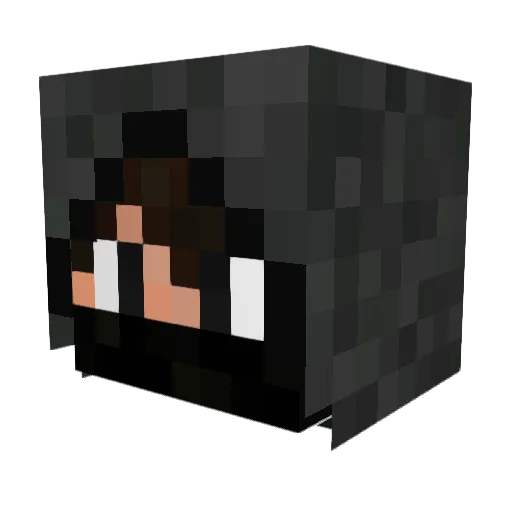 Quir77 Minecraft avatar head, 3D render