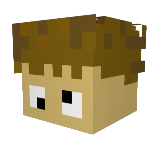 Quircraft Minecraft avatar head, 3D render