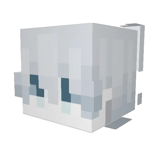 Quirin77 Minecraft avatar head, 3D render