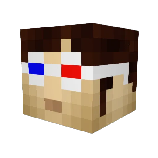 Quirkachu Minecraft avatar head, 3D render