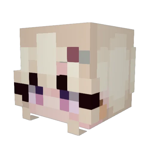 QuirkyStepSis Minecraft avatar head, 3D render