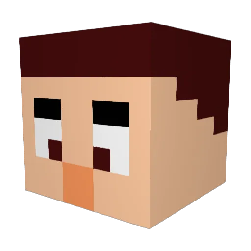 QuirkyTurtle777 Minecraft avatar head, 3D render