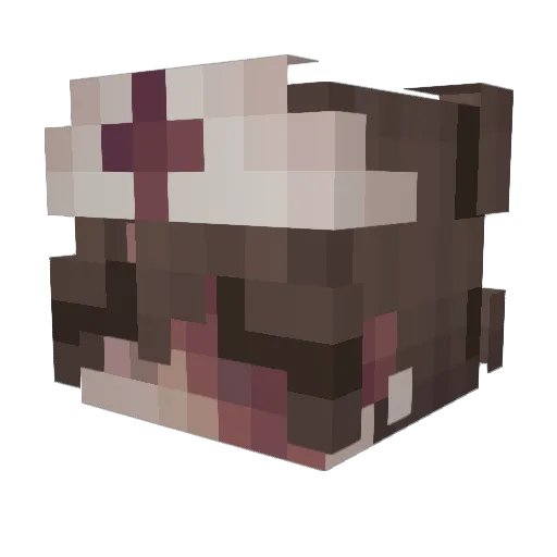Quisselquass Minecraft avatar head, 3D render