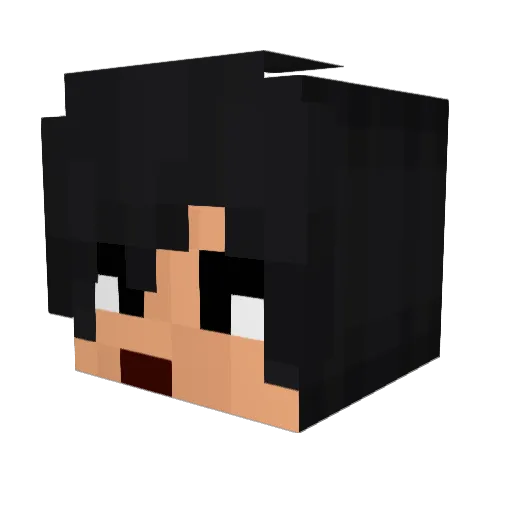 Quitas87 Minecraft avatar head, 3D render