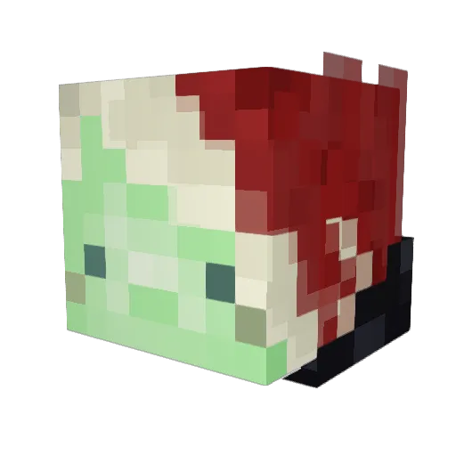 QuiteFrankLi Minecraft avatar head, 3D render