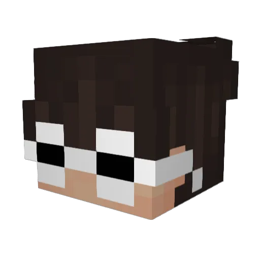 QuiteHungry Minecraft avatar head, 3D render