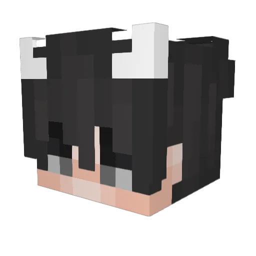 QuiteNoob Minecraft avatar head, 3D render