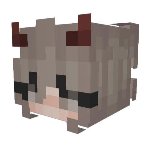 Quiv_ Minecraft avatar head, 3D render
