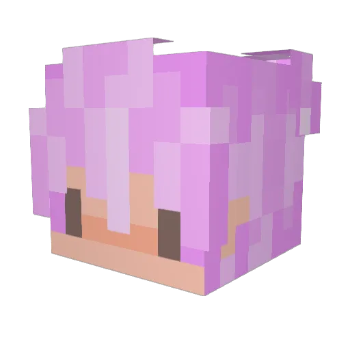 Quixicles Minecraft avatar head, 3D render