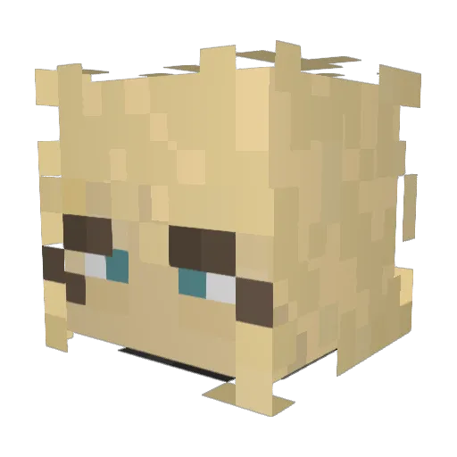 QuixuToJa123 Minecraft avatar head, 3D render