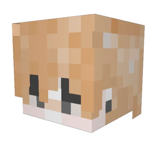 Quiye027 Minecraft avatar head, 3D render