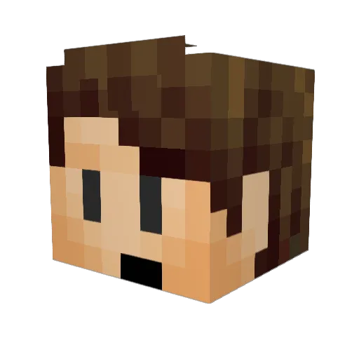 Quiz_GamingFTW Minecraft avatar head, 3D render