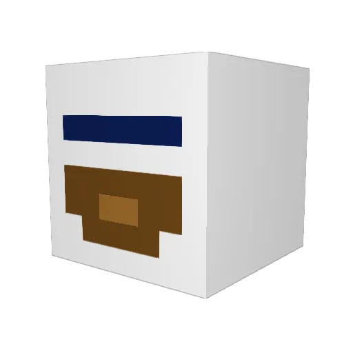 Quizywidit Minecraft avatar head, 3D render